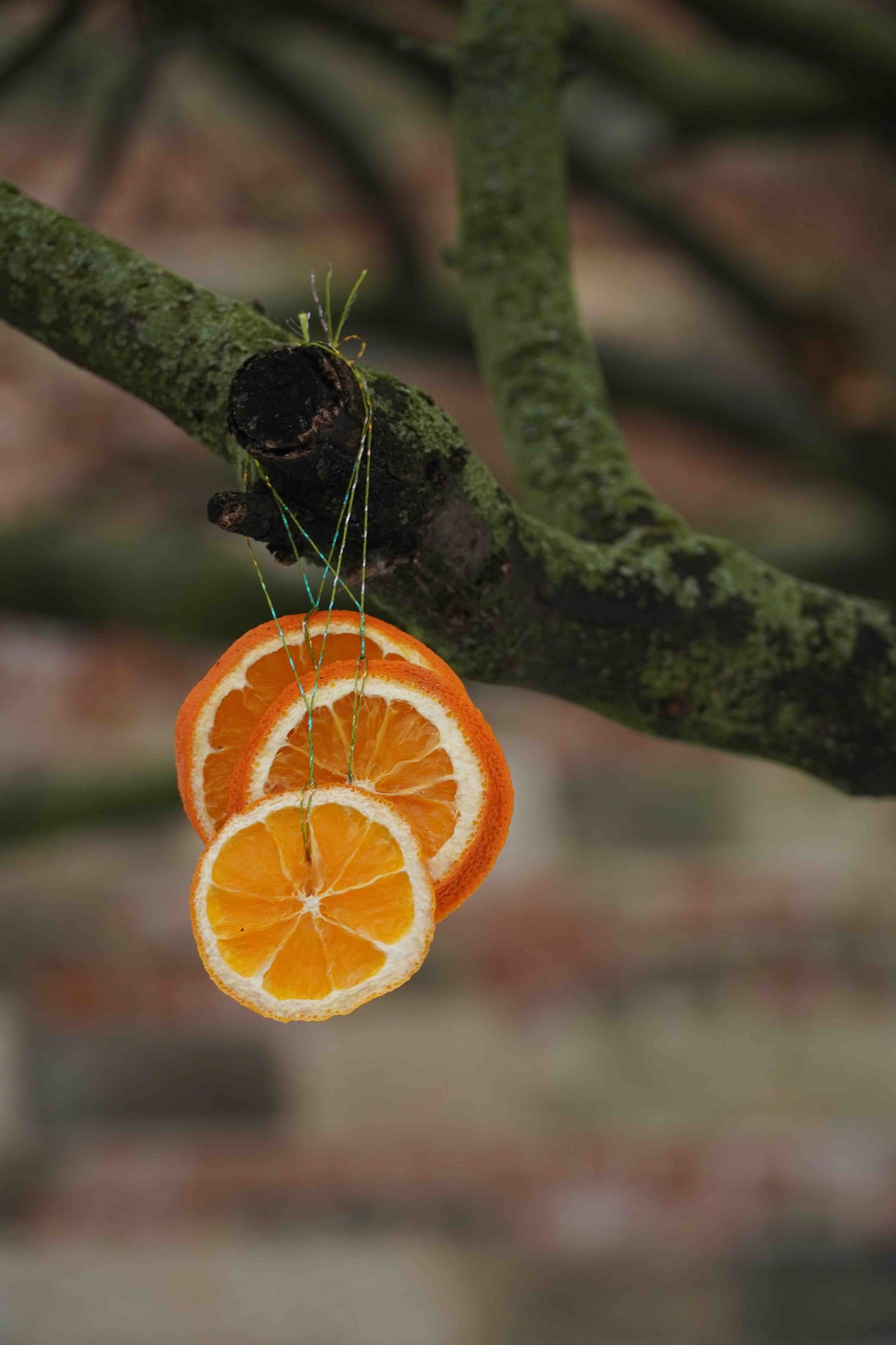 orange-decor