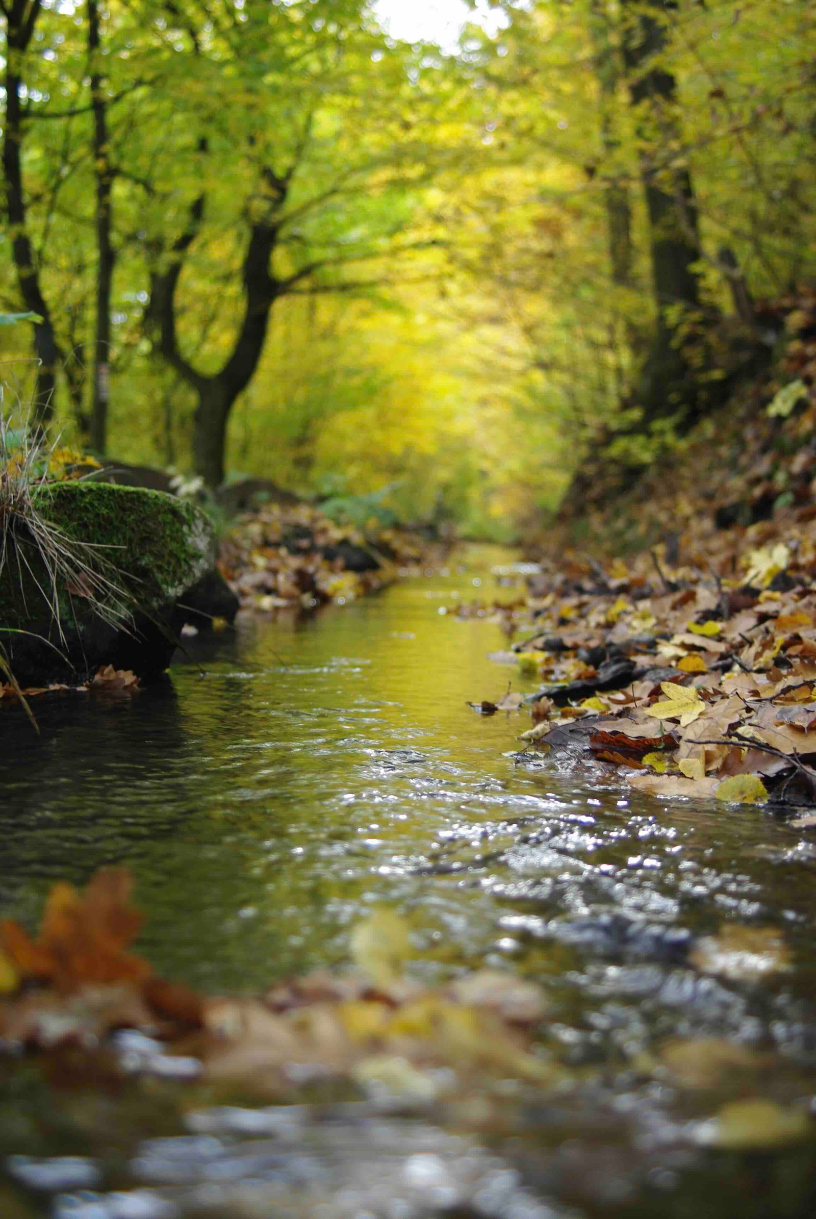 river